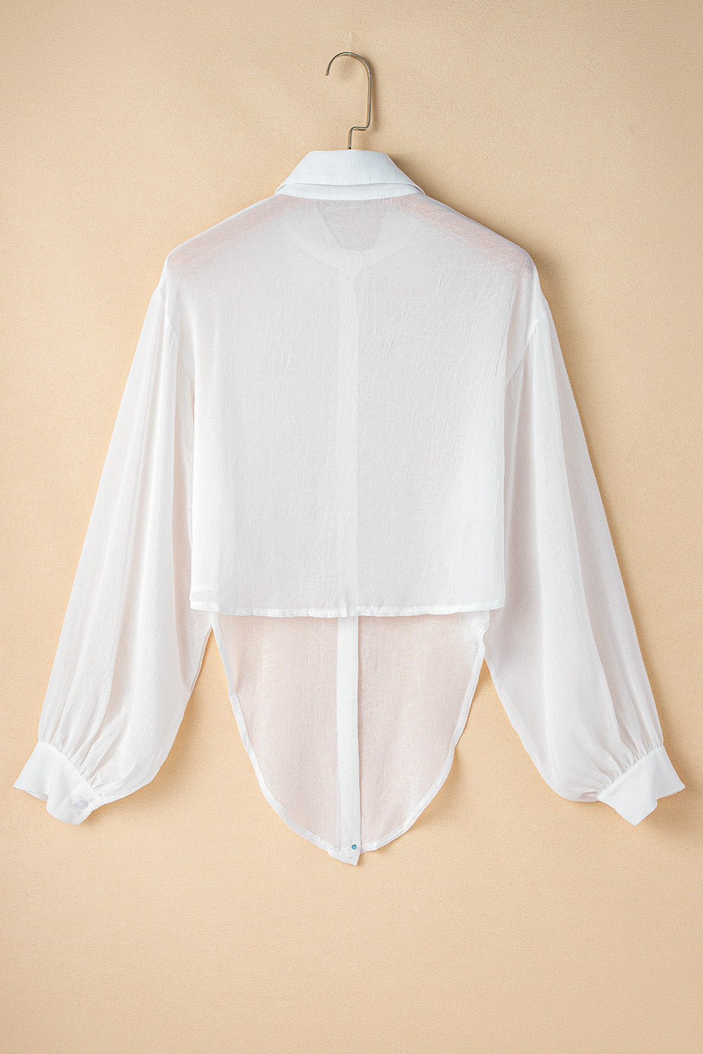 Knotted Front Loose Fit Sheer Shirt